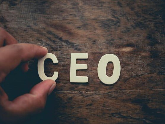 Dlaczego warto inwestować w biodegradowalne materiały biurowe? Kompleksowy przewodnik dla zrównoważonego biznesu