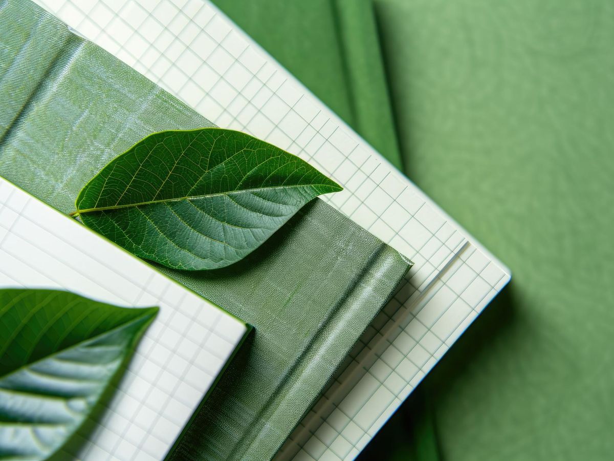 Jak wybrać ekologiczny papier do biura? Kompletny poradnik dla świadomych firm
