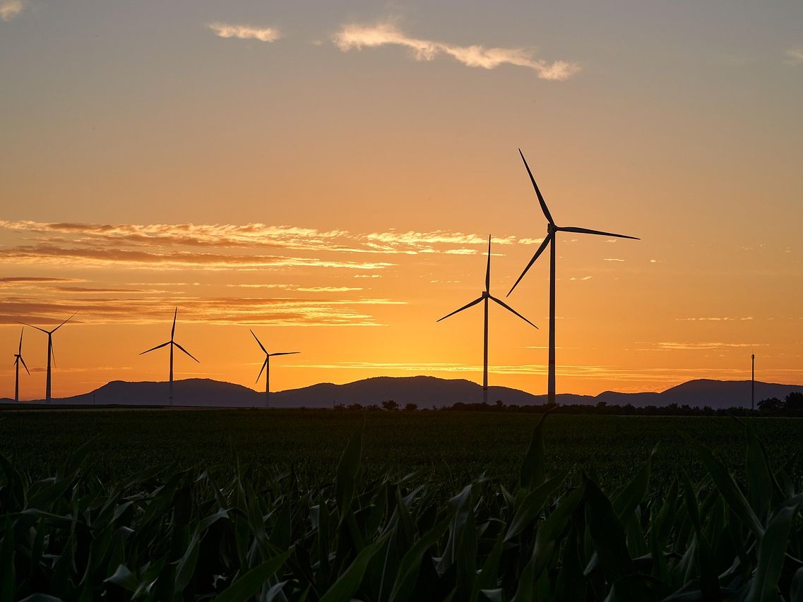 Elektrownia wiatrowa czy słoneczna co wybrać dla zrównoważonej energii